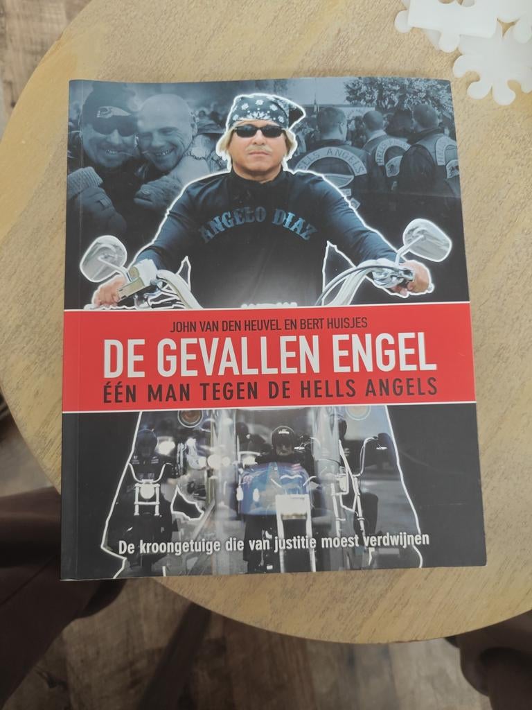 De Gevallen Engel: Eén man tegen de Hells Angels, Boeken, Romans, Gelezen, Nederland, Ophalen of Verzenden