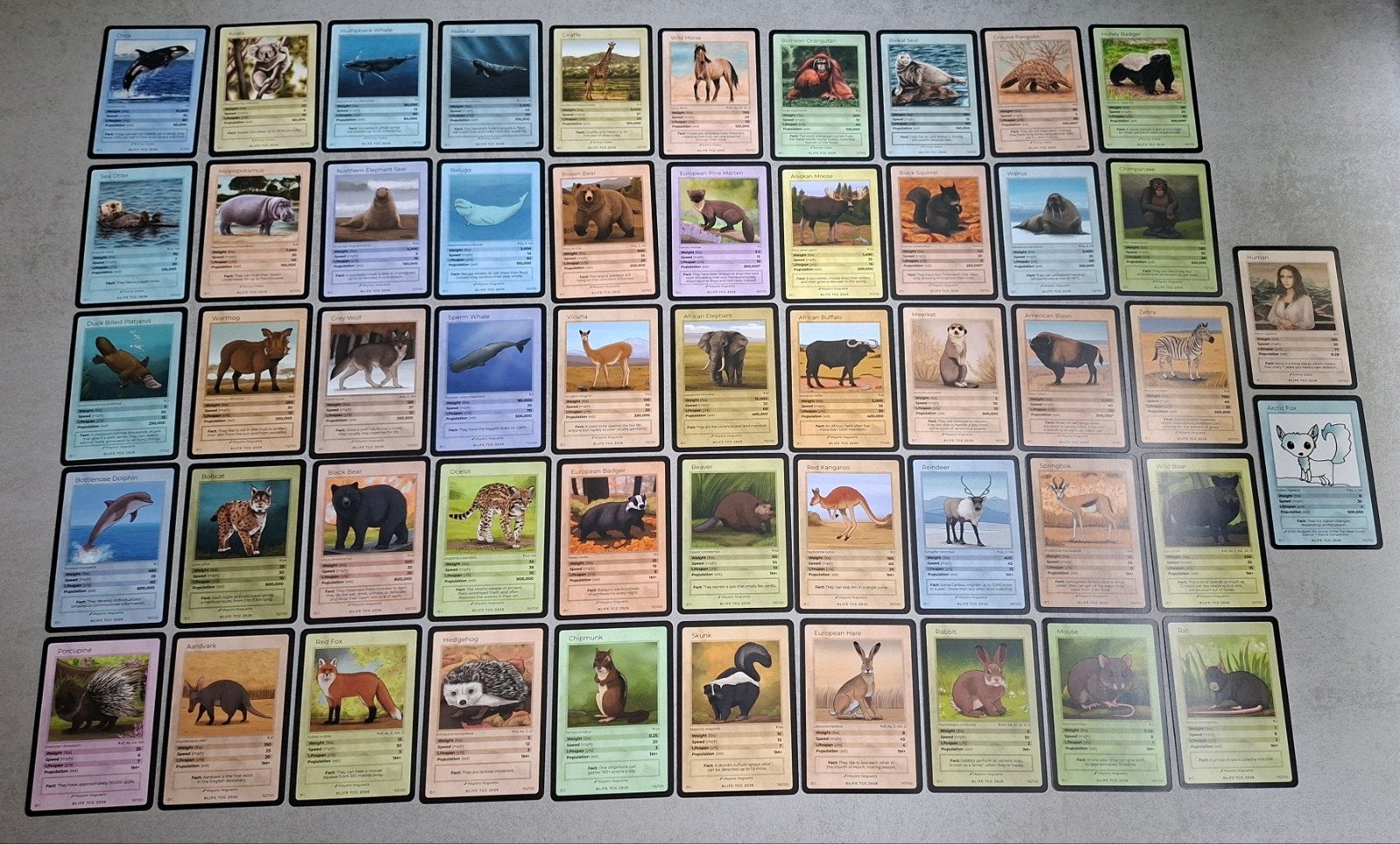 Life TCG Special Edition Mammals C Kaarten Los (51 t/m 102), Ophalen of Verzenden, Nieuw, Losse kaart
