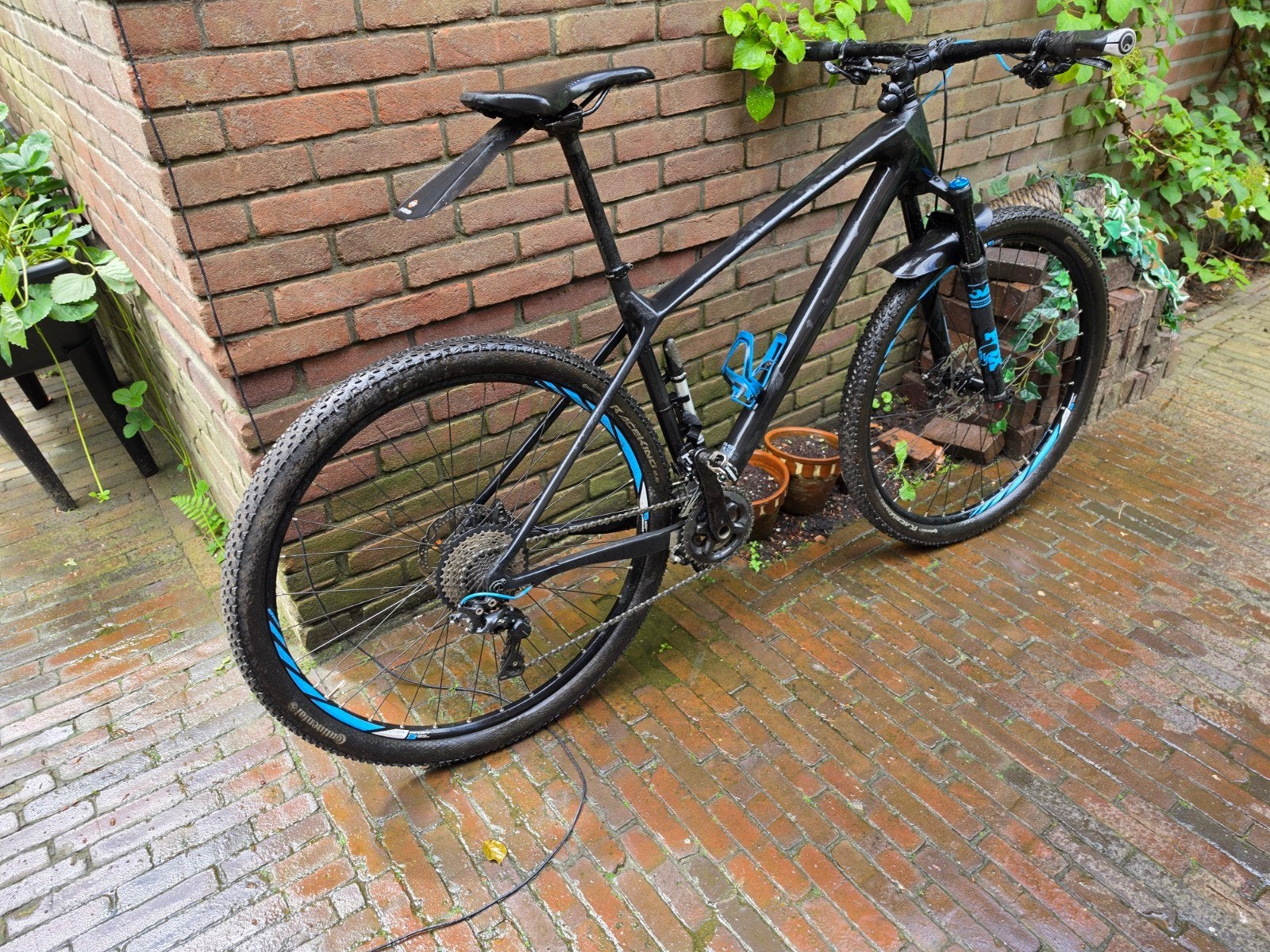 Focus Raven 29inch MTB (L) - Overstap naar gravel, Fietsen en Brommers, Fietsen | Mountainbikes en ATB, Ophalen