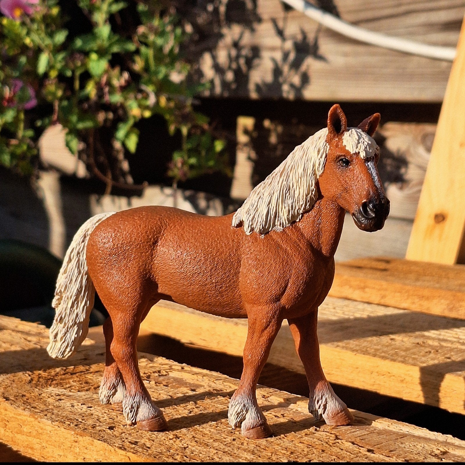 Schleich Belgische fokmerrie (model 13941), Ophalen of Verzenden, Nieuw, Paard, Beeldje of Figuurtje