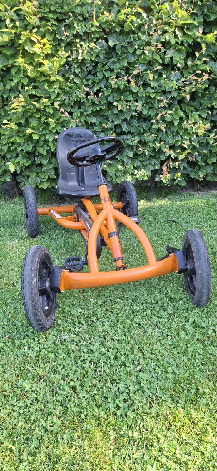 Mooie BERG SKELTER Buddy, Ophalen, Zo goed als nieuw, Berg, Vrijloopautomaat