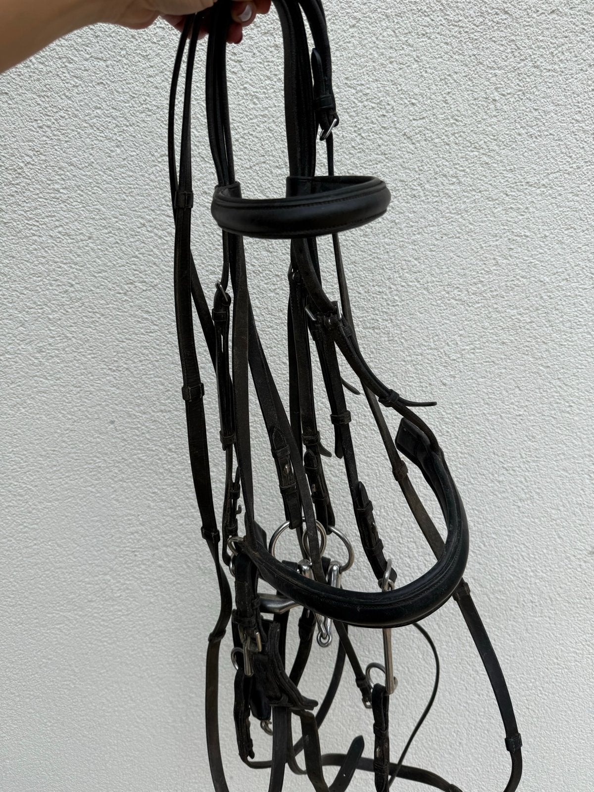 Stang en trens hoofdstel, Full, zwart, Ophalen, Zwart, Hoofdstel, Full