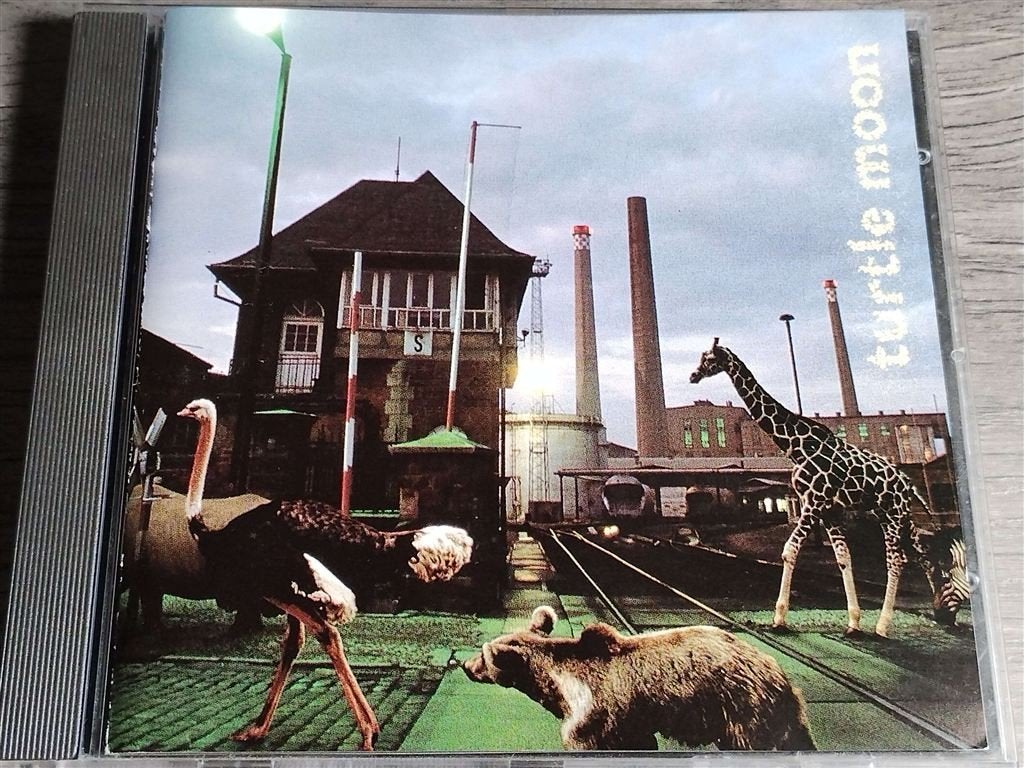 Turtle Moon - Turtle Moon, Cd's en Dvd's, Cd's | Pop, Zo goed als nieuw, Pop, Ophalen of Verzenden