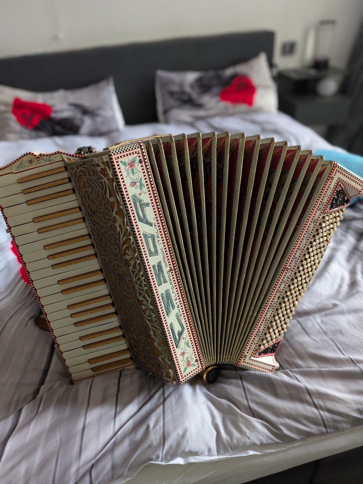 Mooiste playback accordeon van marktplaats, Ophalen of Verzenden, Zo goed als nieuw, 120-bas, Overige merken