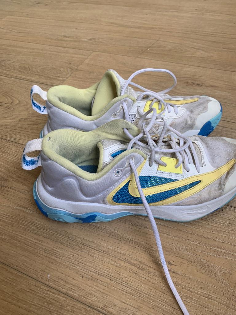 Basketbalschoenen, Nike, Ophalen of Verzenden, Gedragen, Wit