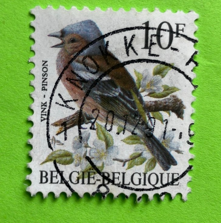 Vogel vink, Ophalen of Verzenden, Gestempeld