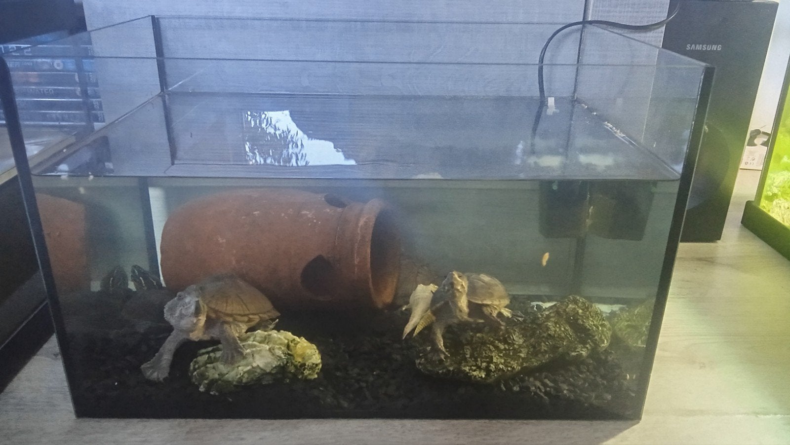 aquarium 45*28*28, Ophalen, Zo goed als nieuw, Leeg aquarium