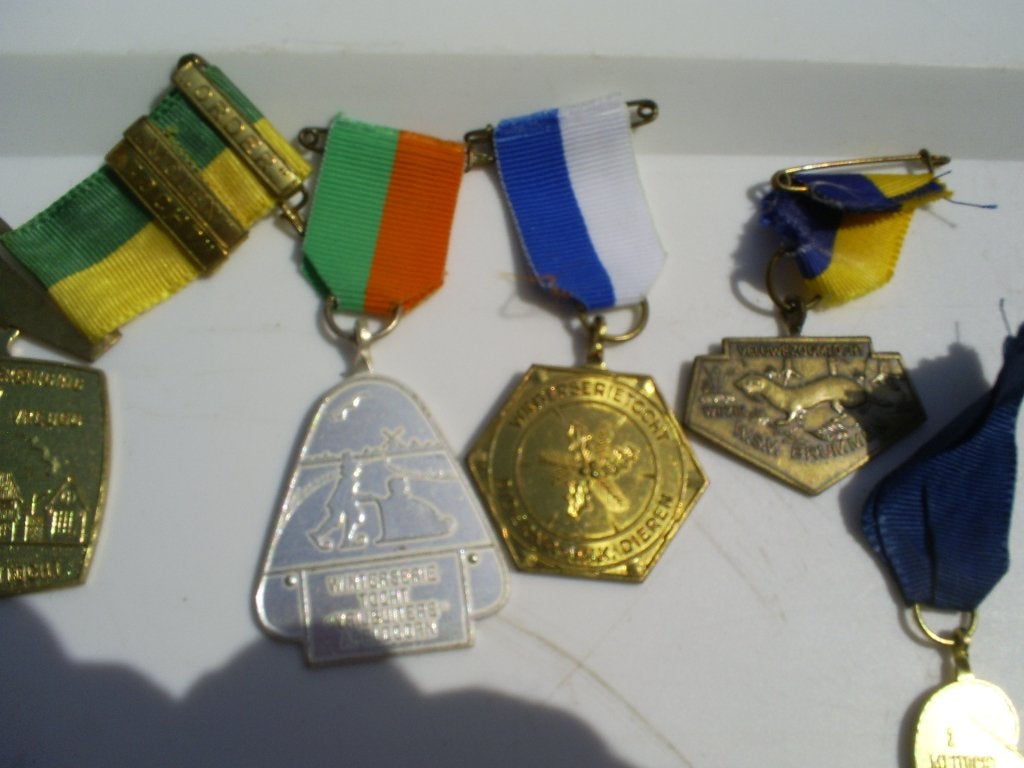 Apeldoorn medaille Kindervreugd Vrijbuiters Dieren Brummen, Ophalen of Verzenden, Overige materialen, Nederland
