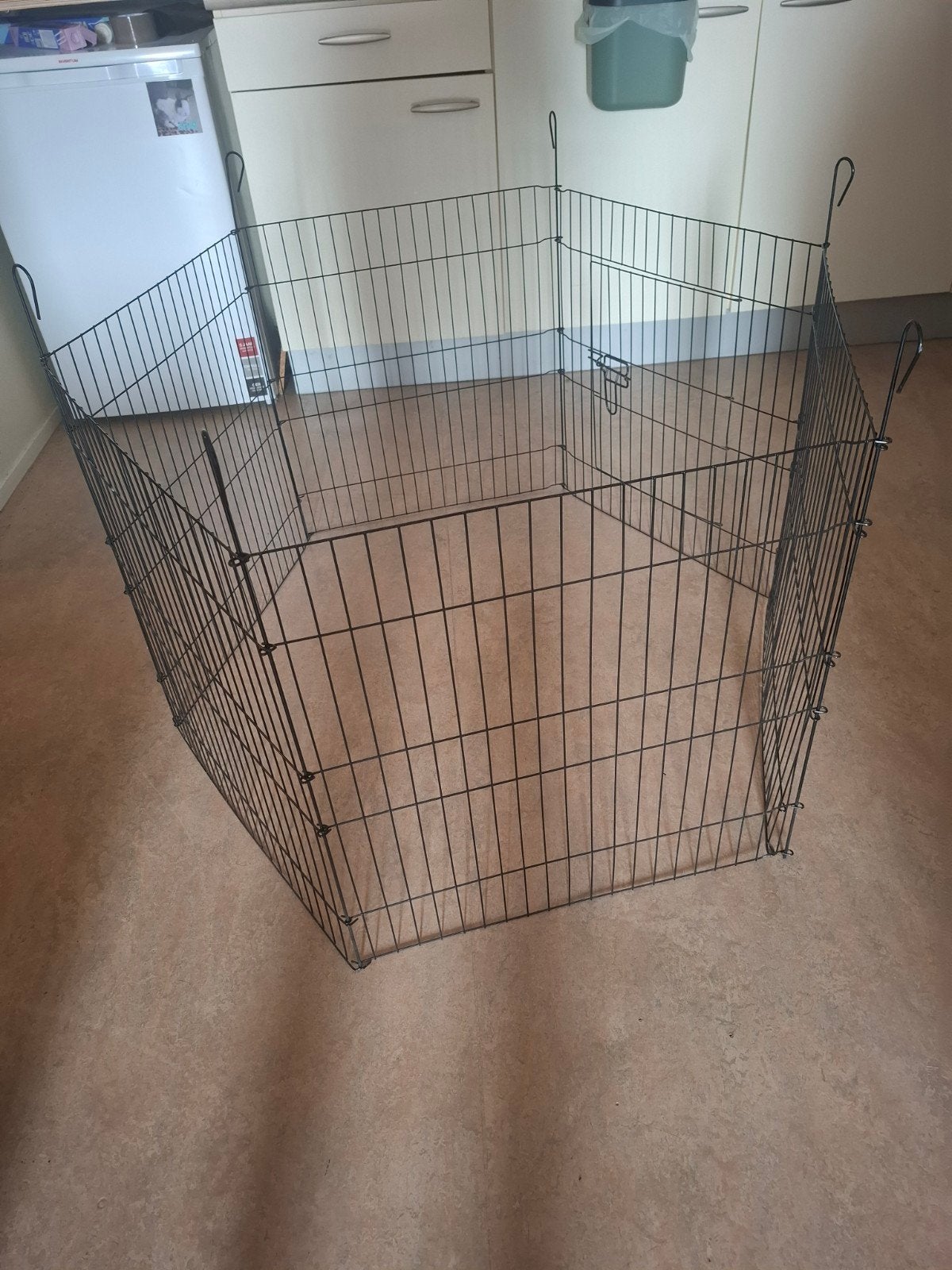 dierenren, Ophalen, Zo goed als nieuw, Minder dan 75 cm, Minder dan 65 cm
