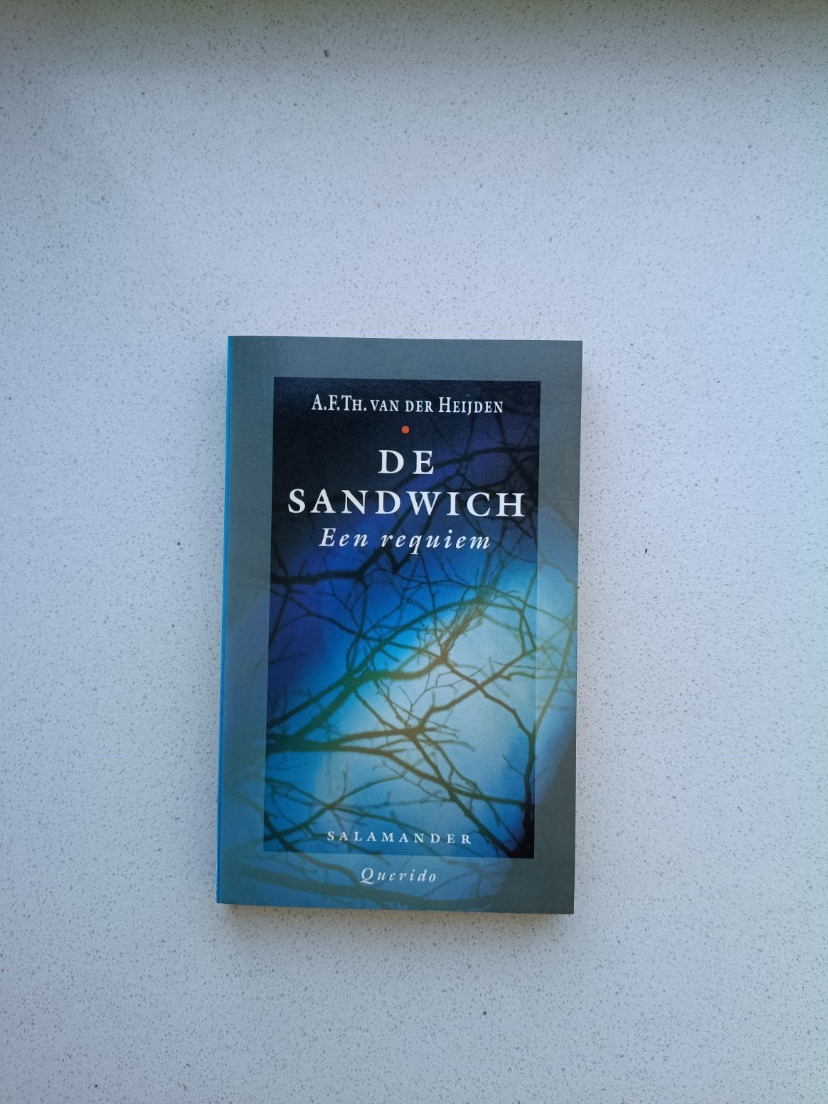 De Sandwich - A.F.Th. van der Heijden, Ophalen of Verzenden, Gelezen