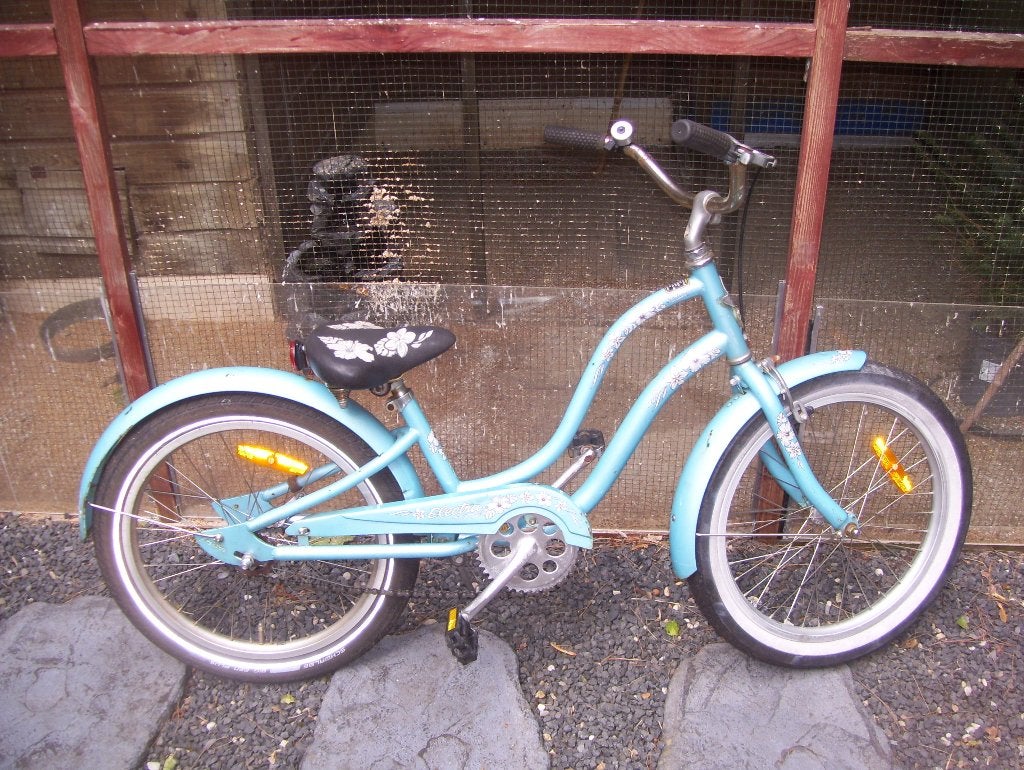 fiets, Fietsen en Brommers, Ophalen, Terugtraprem, 20 inch, Handrem