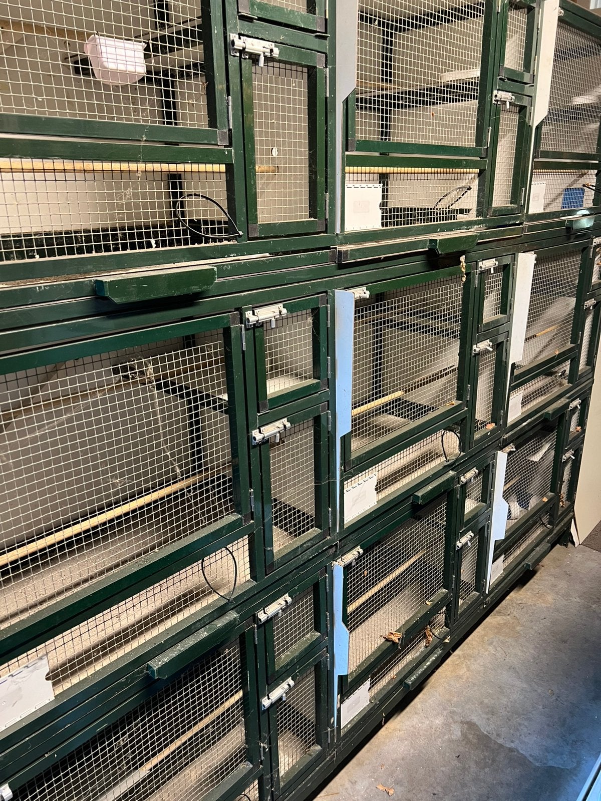Grote 9 delige vogelkooi, Ophalen of Verzenden, Gebruikt, Aluminium, Broedkooi of Kweekkooi