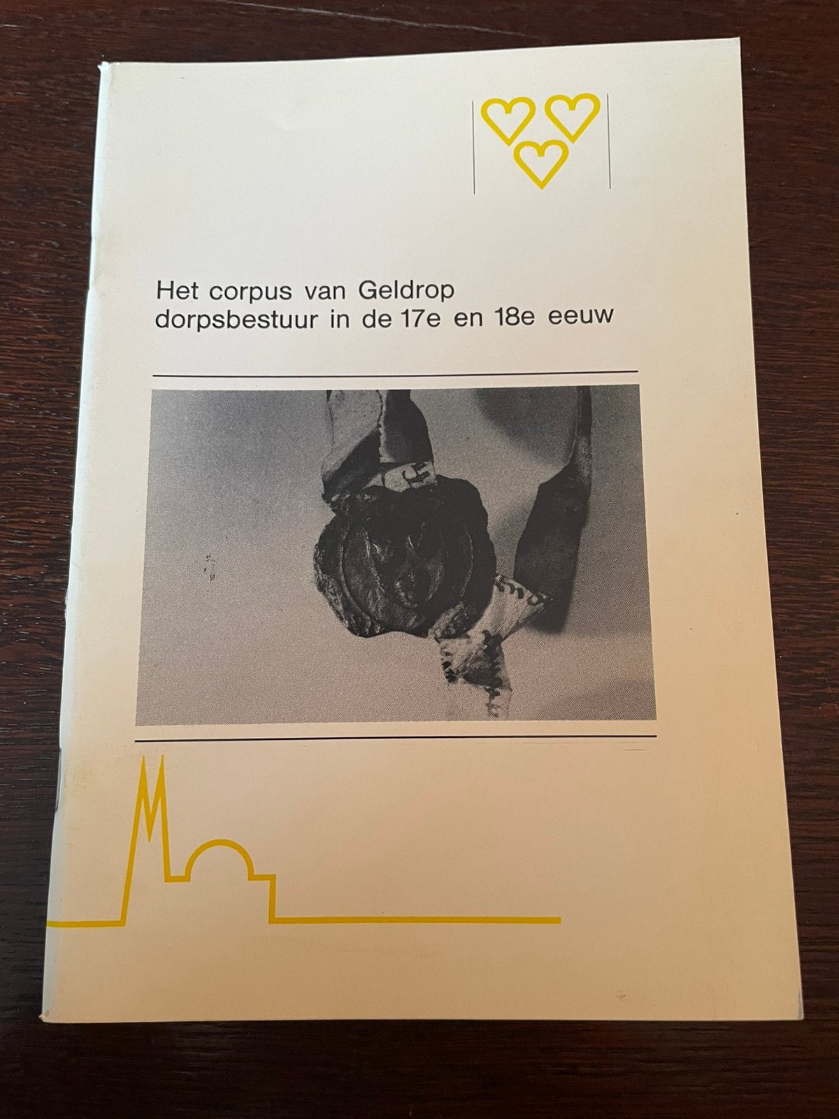 Het corpus van Geldrop: dorpsbestuur in de 17e en 18e eeuw, Boeken, Ophalen of Verzenden, 20e eeuw of later, Zo goed als nieuw