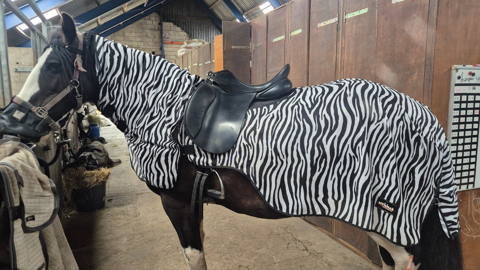 Vliegen uitrijdeken zebra 205, Dieren en Toebehoren, Paarden en Pony's | Dekens en Dekjes, Ophalen of Verzenden