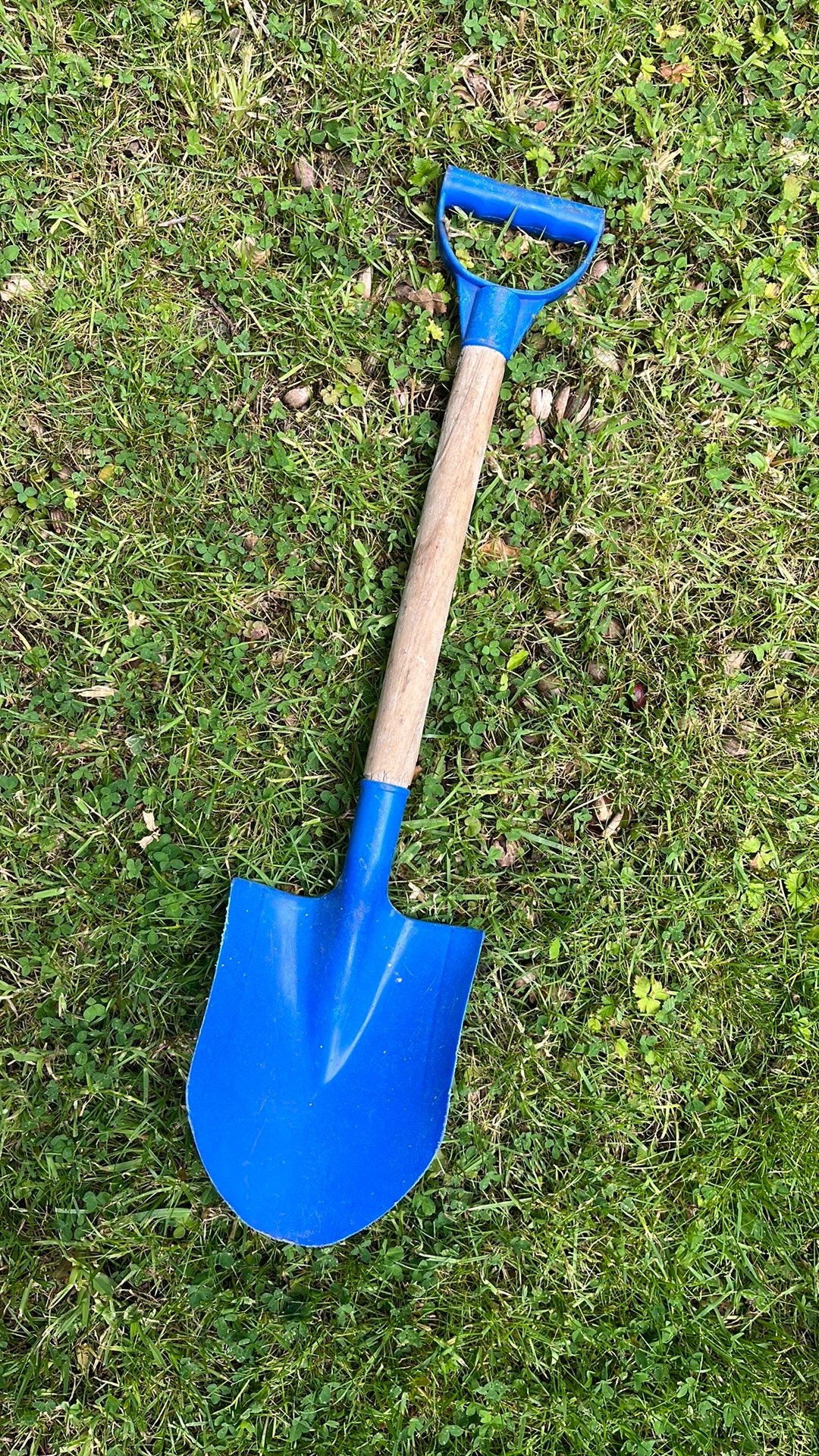 Strandschep groot, Ophalen, Gebruikt