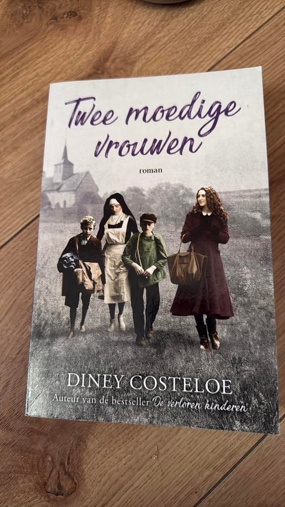 Twee moedige vrouwen (Diney Costeloe), Boeken, Ophalen of Verzenden, Zo goed als nieuw