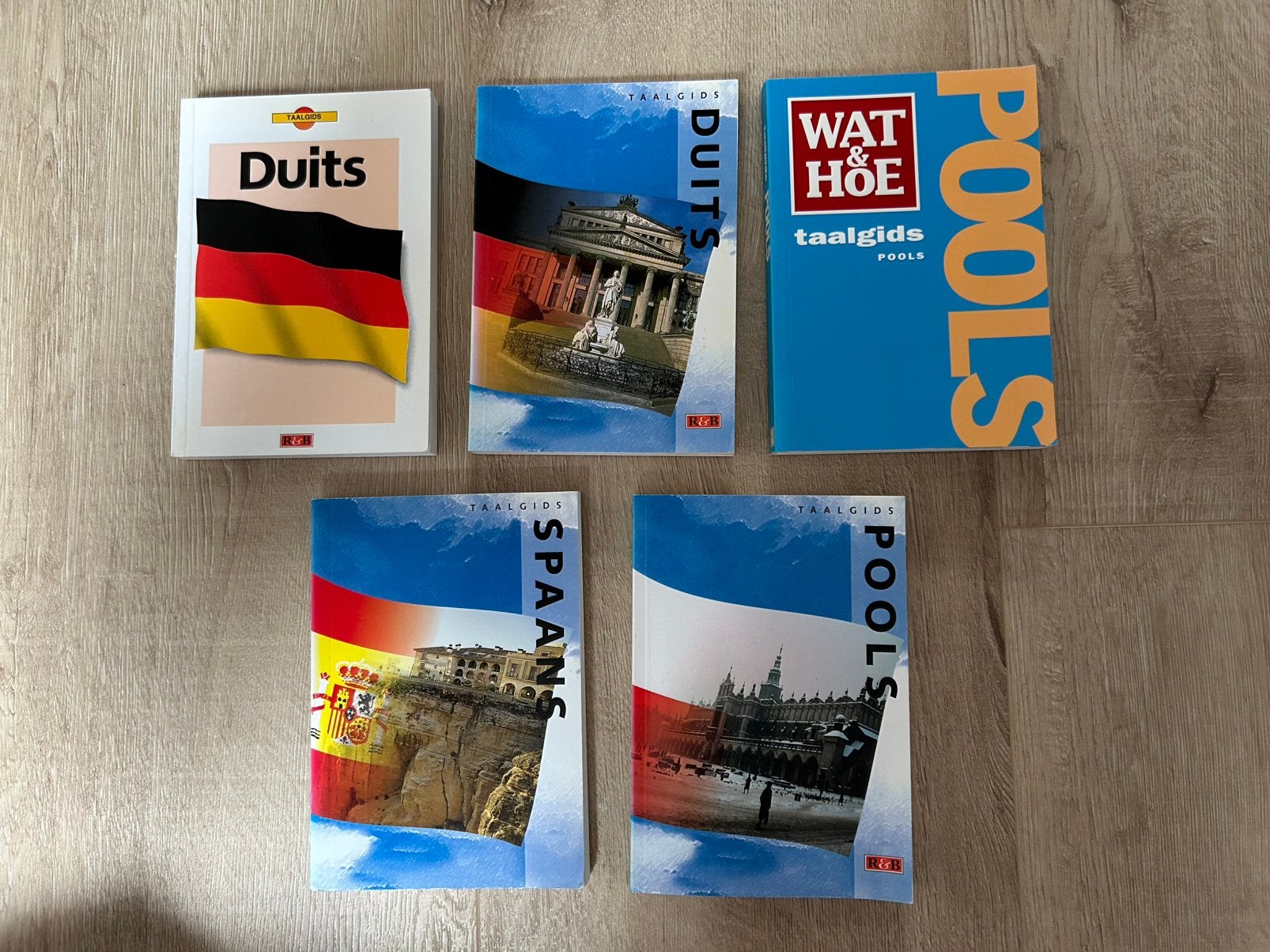 Taalgids Duits, Pools of Spaans, Boeken, Ophalen of Verzenden, Gelezen