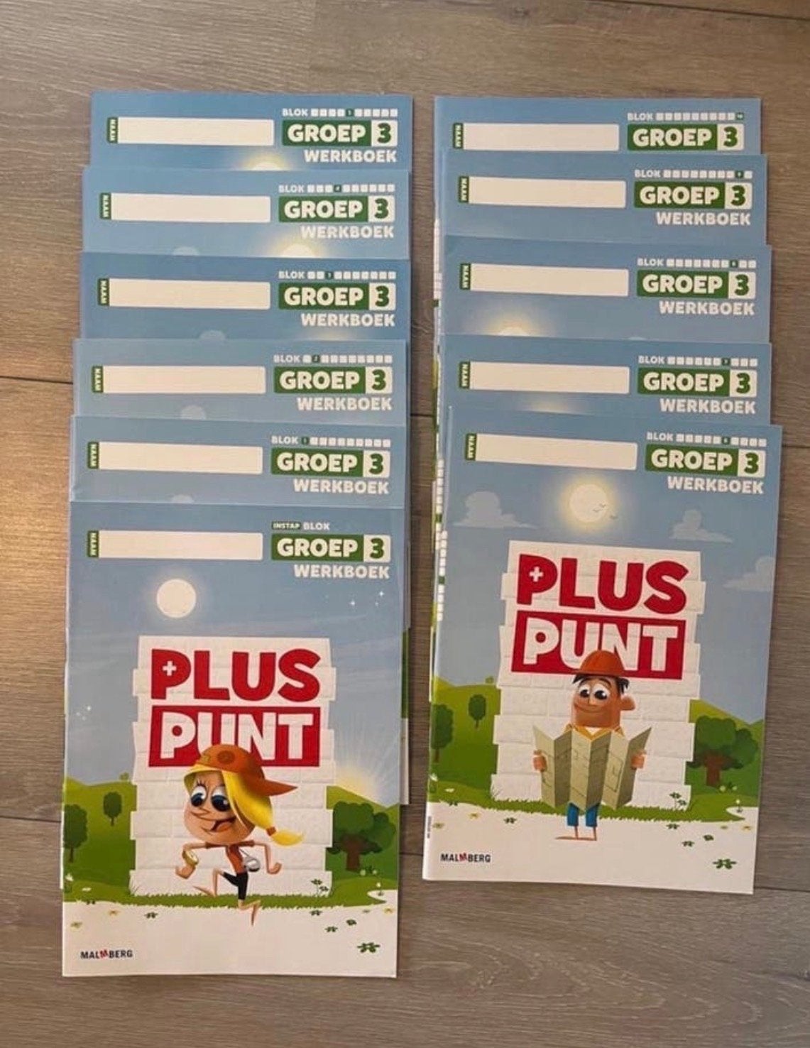 Rekenen groep 3 Pluspunt werkboeken, Boeken, Schoolboeken, Ophalen of Verzenden, Nieuw, Overige niveaus, Overige vakken