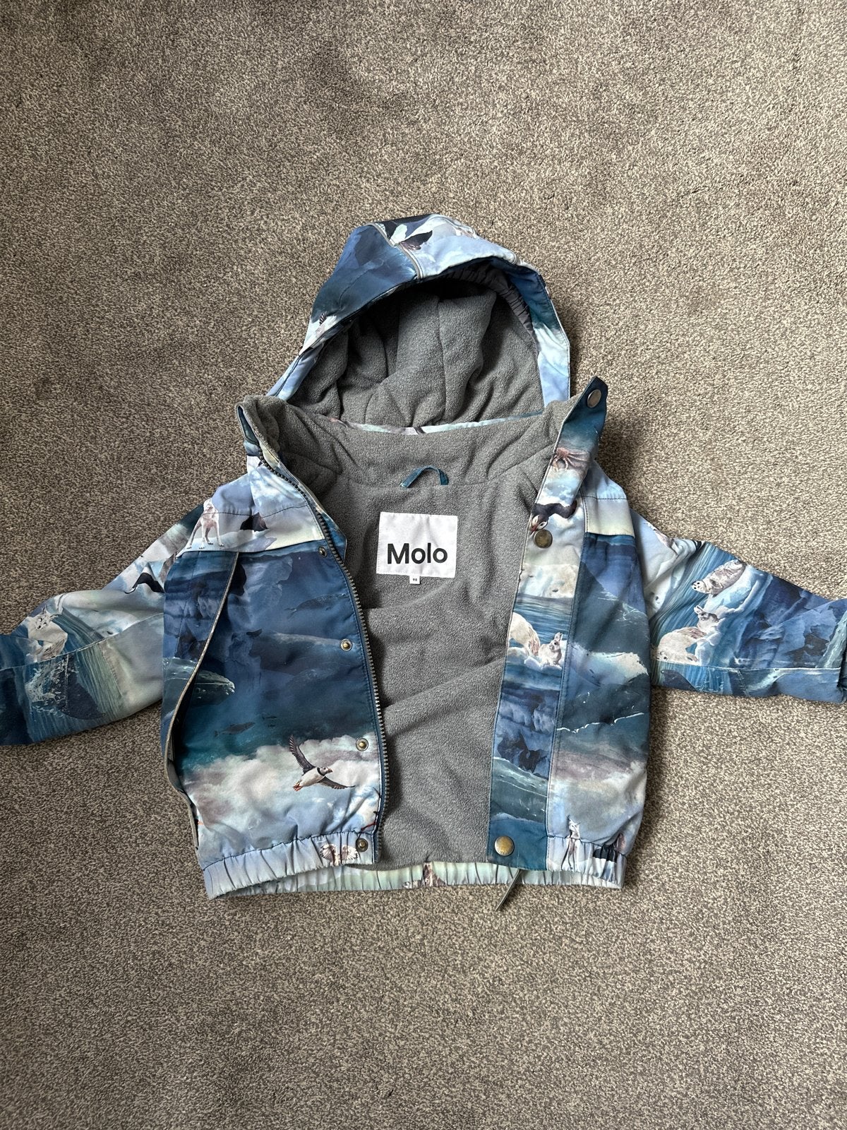 Molo winterjas met dierenprint - Maat 92, Ophalen of Verzenden, Zo goed als nieuw, Jongen of Meisje