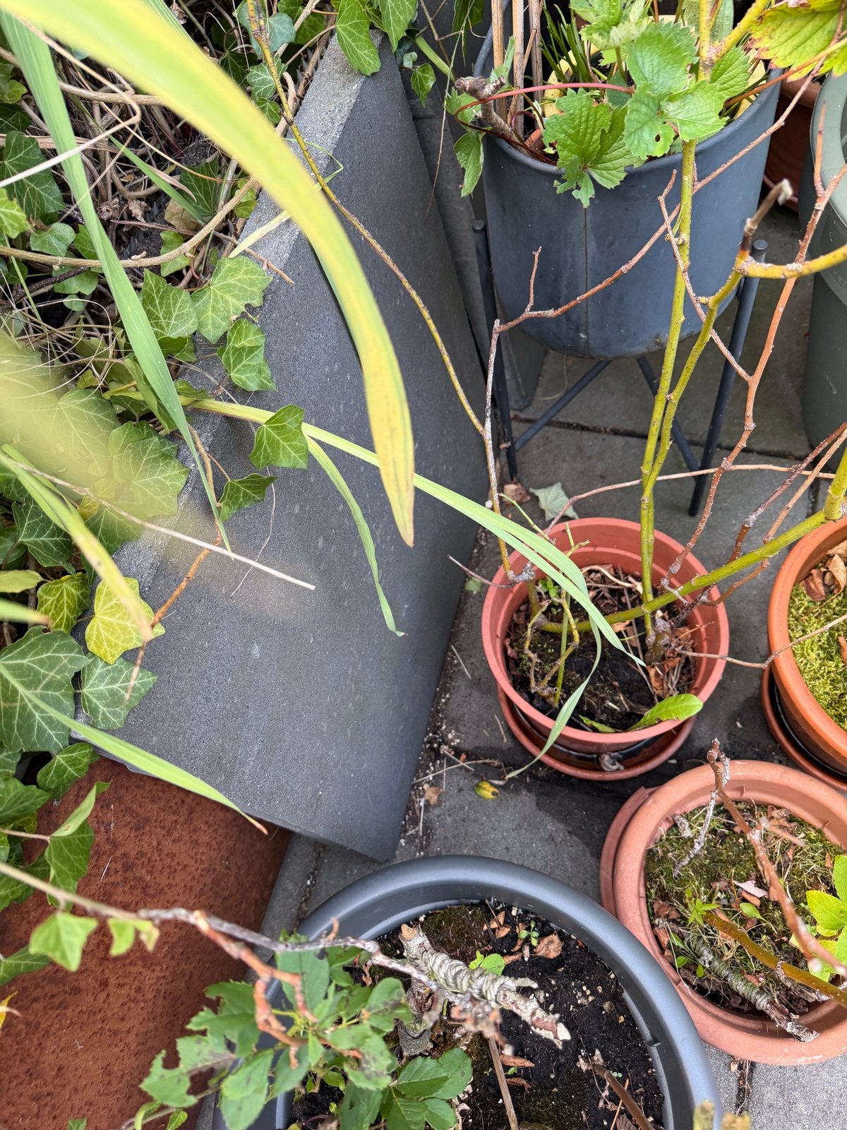 Grote beton tegel, Tuin en Terras, Ophalen, Gebruikt, Minder dan 5 m², Beton