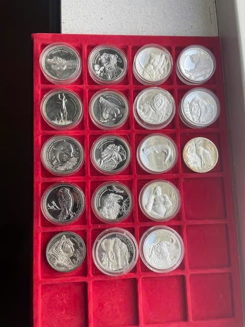munten dierenrijk panda zwaar verzilverd, Ophalen of Verzenden, Vóór koninkrijk, Setje, Zilver