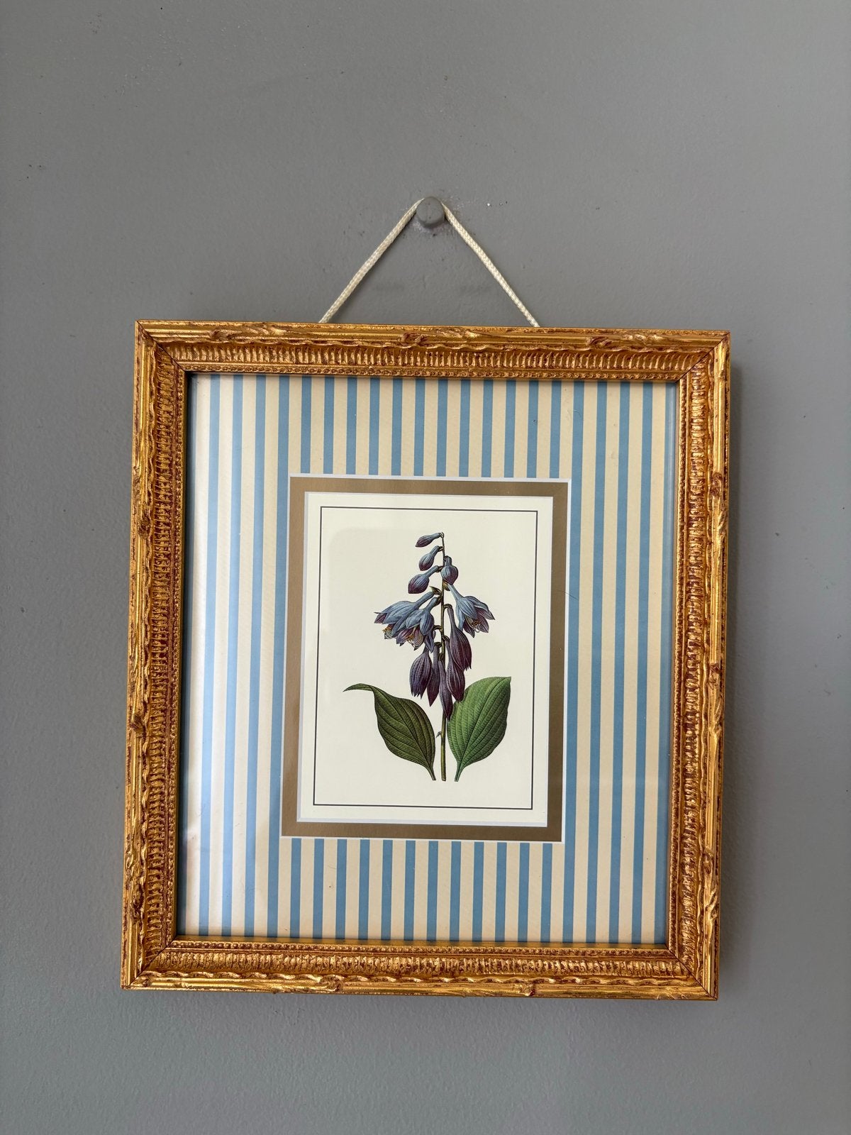 Mooi ingelijste botanische print, afm. 22.5x20cm, Ingelijst, 1950 - 1999, Overige technieken, Ophalen of Verzenden