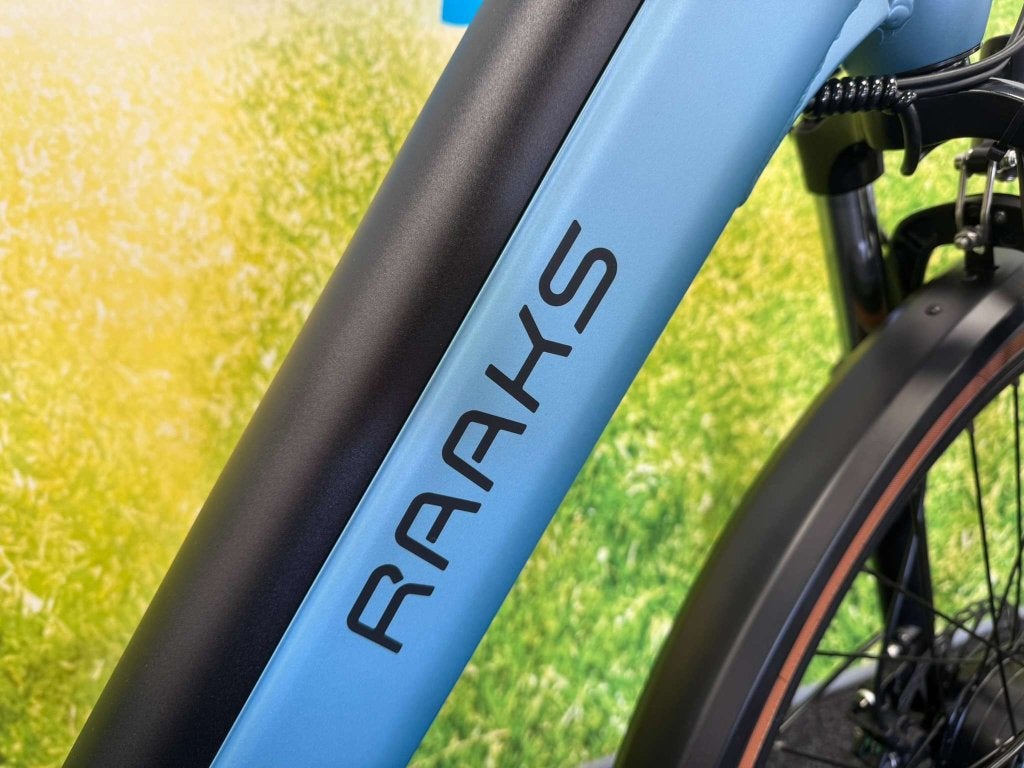 Fietshokje Amersfoort: Raaks Belton dames E-Bike N3 H51, Fietsen en Brommers, Elektrische fietsen, Niet ingevuld, Nieuw, Ophalen of Verzenden