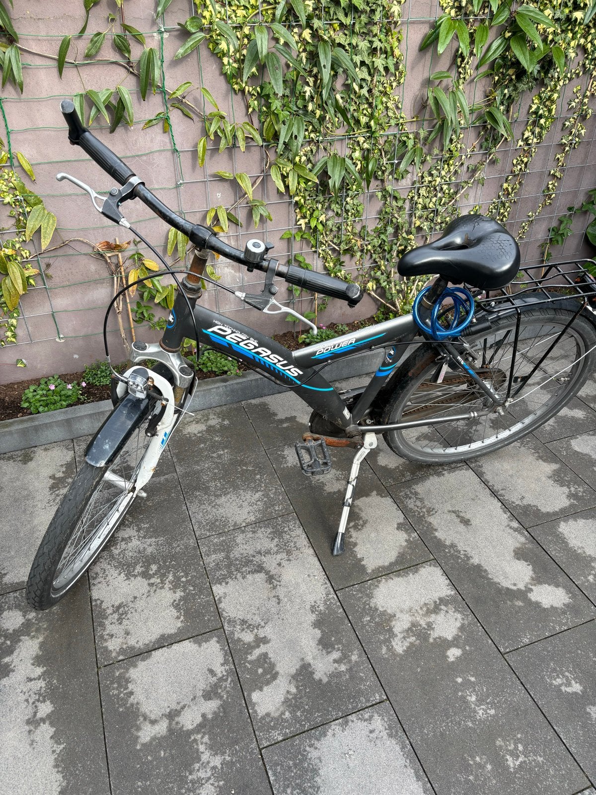 Pegasus fiets - Gebruikt, maar functioneel, Velgrem, Ophalen, Overige merken, 53 tot 56 cm