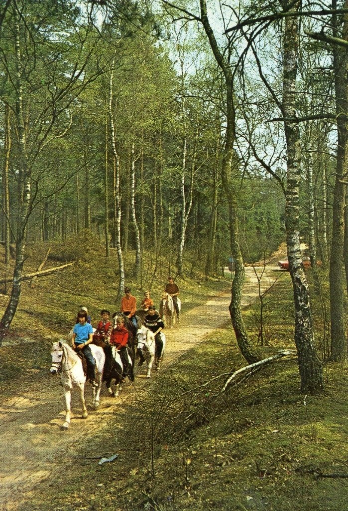 TERSCHELLING Ruiters Paarden Bos, Verzenden, 1960 tot 1980, Gelopen, Waddeneilanden