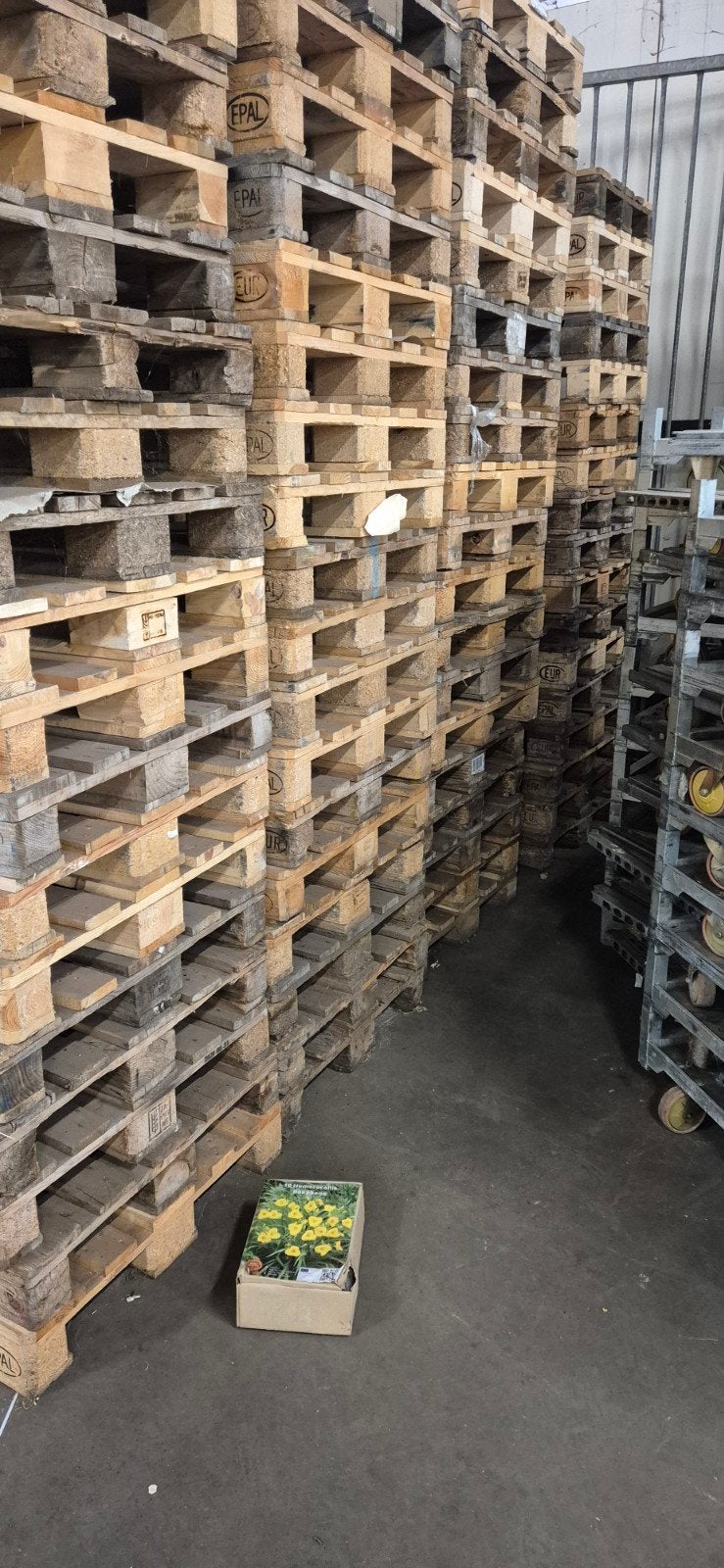 200 nette europallets te koop, Ophalen, Gebruikt, 100 cm of meer, 60 cm of meer