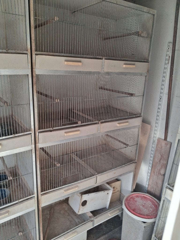 Broedkooien, Ophalen, Gebruikt, Kunststof, Broedkooi of Kweekkooi