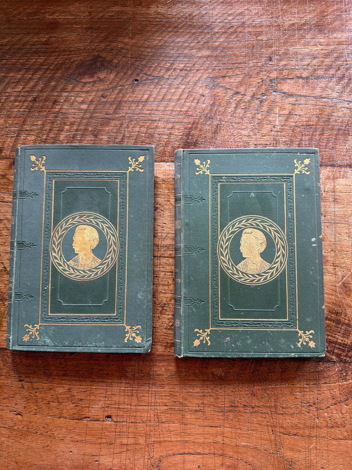 Multatuli: Vrye-Arbeid & Specialiteiten (1890), Ophalen of Verzenden, Gelezen, Nederland