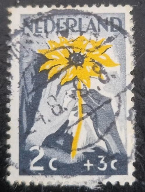 Nederland 1949 - nvph 538 - Nederland helpt Indië  - ab1, Ophalen of Verzenden, Na 1940, Gestempeld
