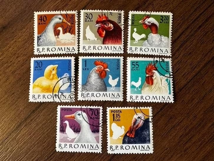 Roemenië 1963: Gestempeld kippen vogels, Ophalen of Verzenden, Gestempeld