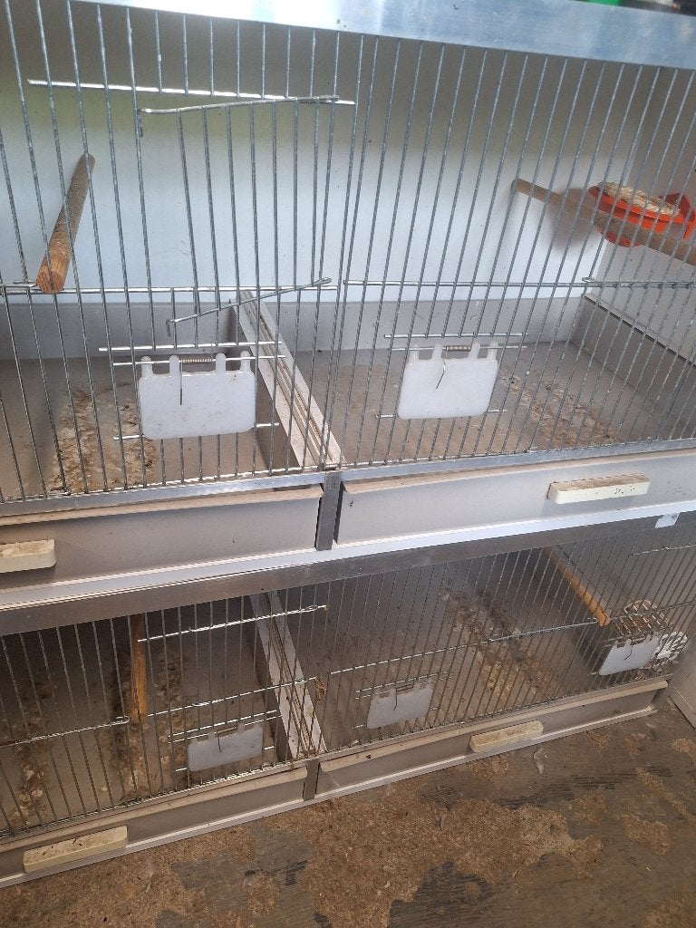 Kweekkooien, Dieren en Toebehoren, Ophalen, Gebruikt, Hout, Broedkooi of Kweekkooi