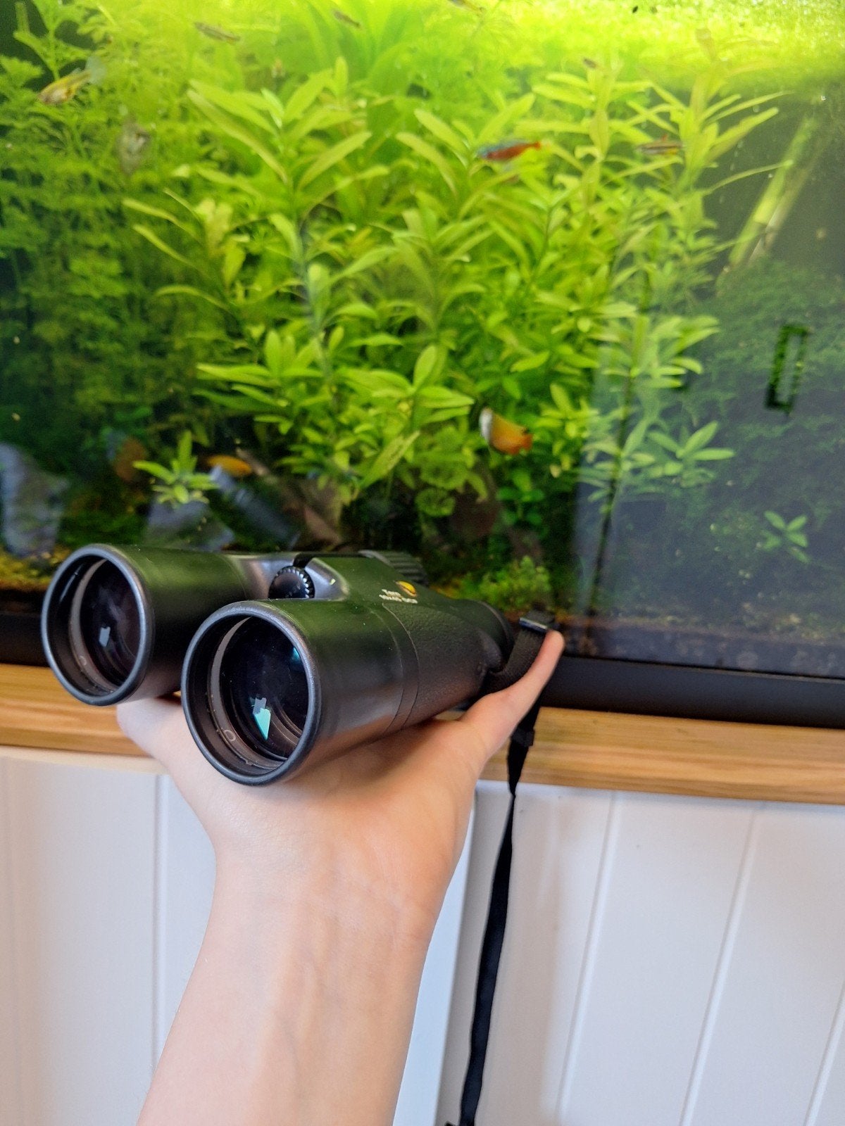Bynolyt Tern 10x45 DCF Verrekijker, Audio, Tv en Foto, Optische apparatuur | Verrekijkers, Ophalen, Gebruikt, 20x of meer, Dakkant (recht)