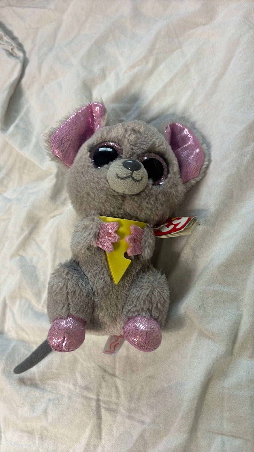 Ty beanie boo’s, Ophalen, Zo goed als nieuw, Overige typen