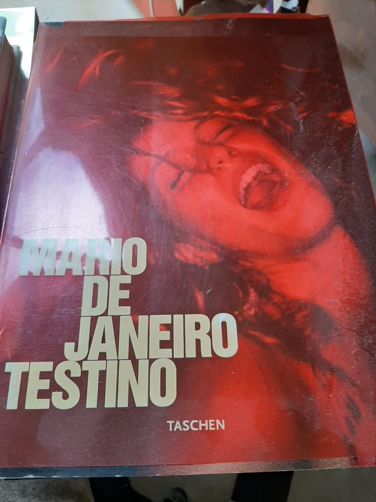 Mario de Janiero Testino maten 25 x35 cm, Boeken, Ophalen of Verzenden, Zo goed als nieuw