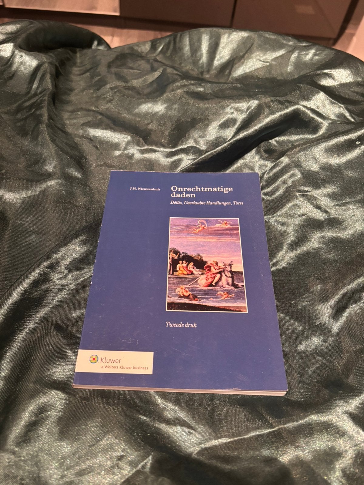 Onrechtmatige Daden, Boeken, Ophalen of Verzenden, Zo goed als nieuw, Sociale wetenschap