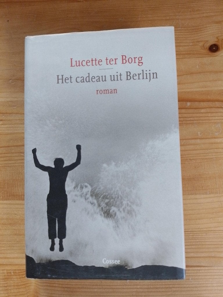 Het cadeau uit Berlijn   Lucette ter Borg, Ophalen of Verzenden, Gelezen, Europa overig