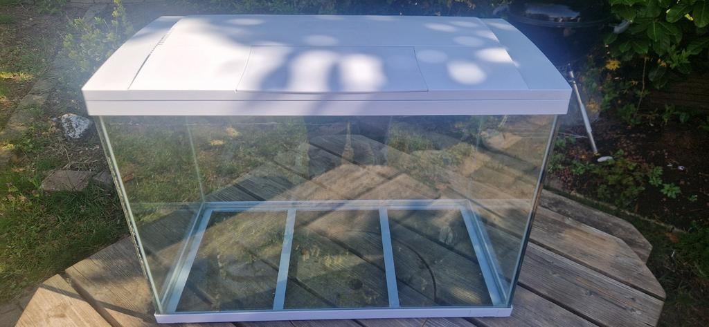 Superfish aquarium 100, Dieren en Toebehoren, Vissen | Aquaria en Toebehoren, Ophalen of Verzenden, Leeg aquarium