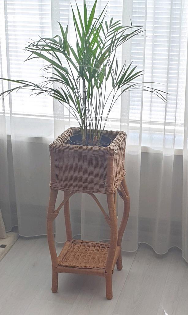Vintage Rotan plantenzuil 75×33×33, Huis en Inrichting, Ophalen, Halfschaduw, Minder dan 100 cm