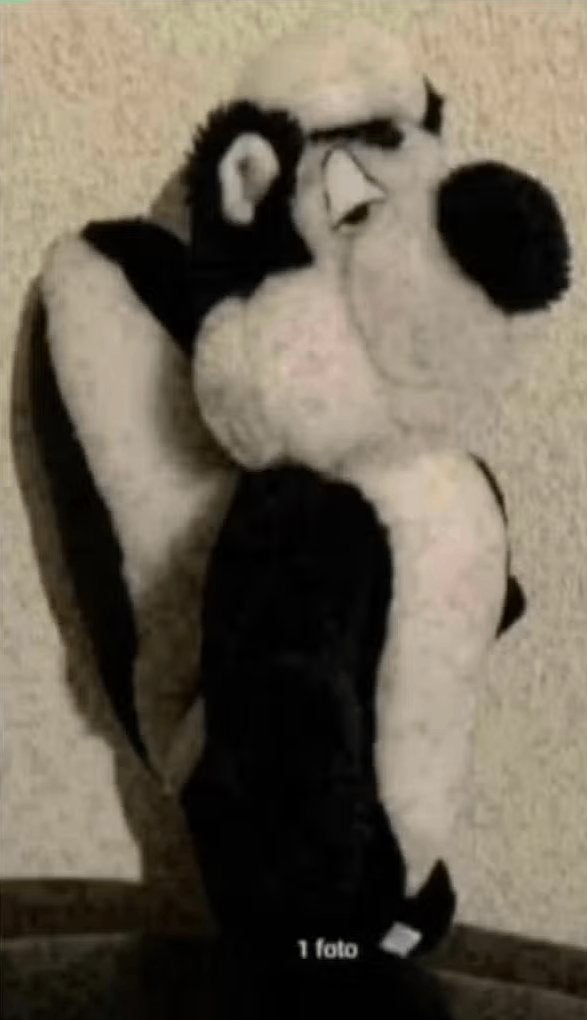 Knuffel stinkdier, skunk, wasbeer; wasbeertje pluche, Ophalen of Verzenden, Zo goed als nieuw, Overige typen