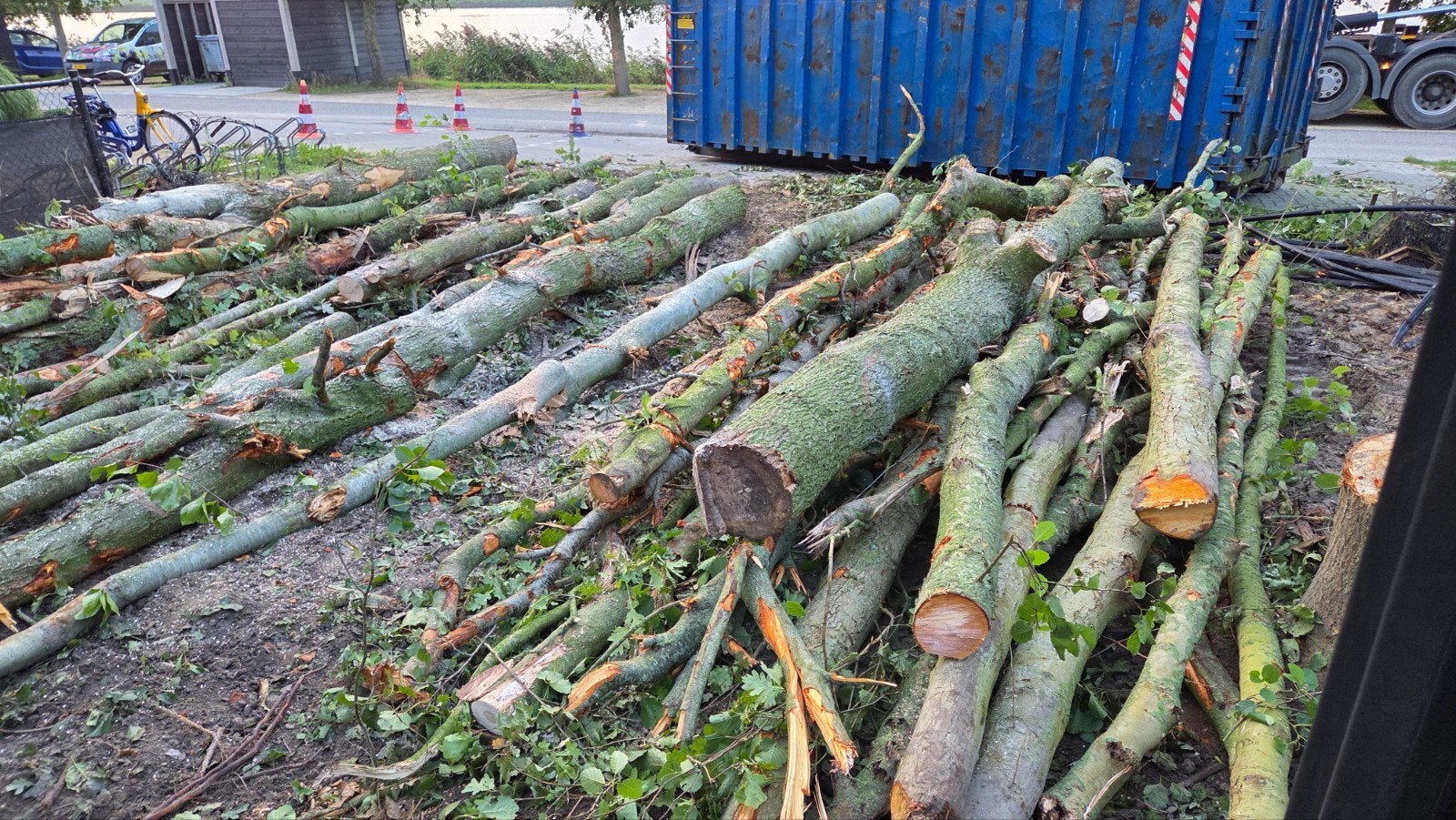 Brandhout stammen - Eikenhout en meer, Ophalen, Eikenhout, Stammen
