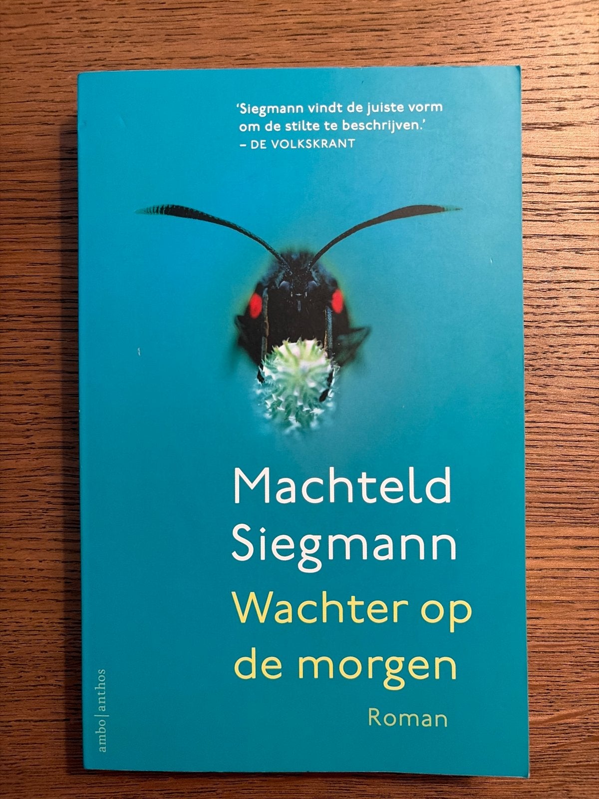 Machteld Siegmann - Wachter op de morgen (Roman), Ophalen of Verzenden, Zo goed als nieuw, Nederland
