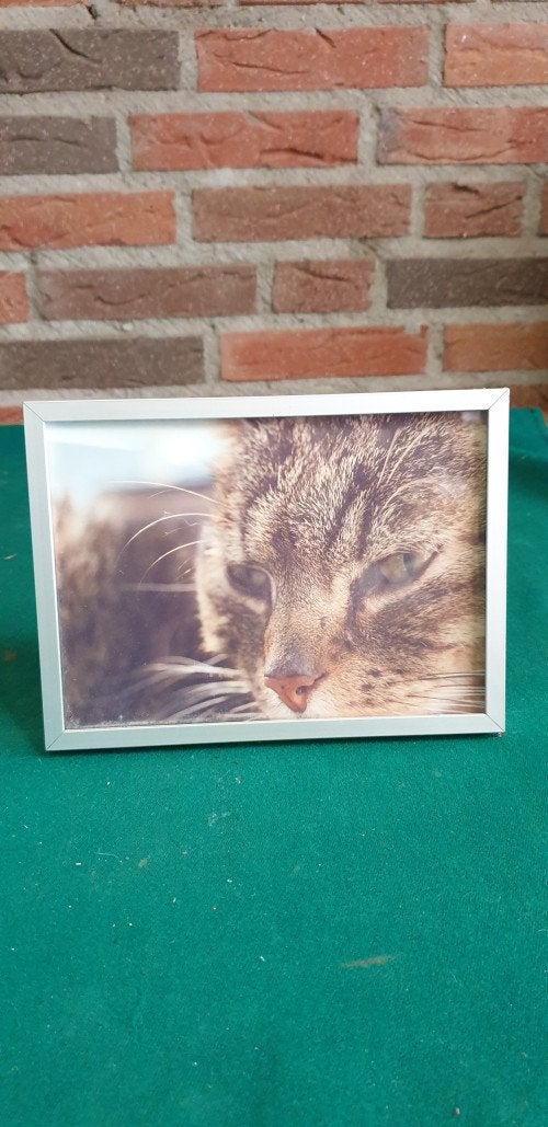 Fotolijst zilverkleurige lijst, Ophalen of Verzenden, 'T Olde Gre-j, Info@toldegrej.nl, Endepoelstraat 20f Didam