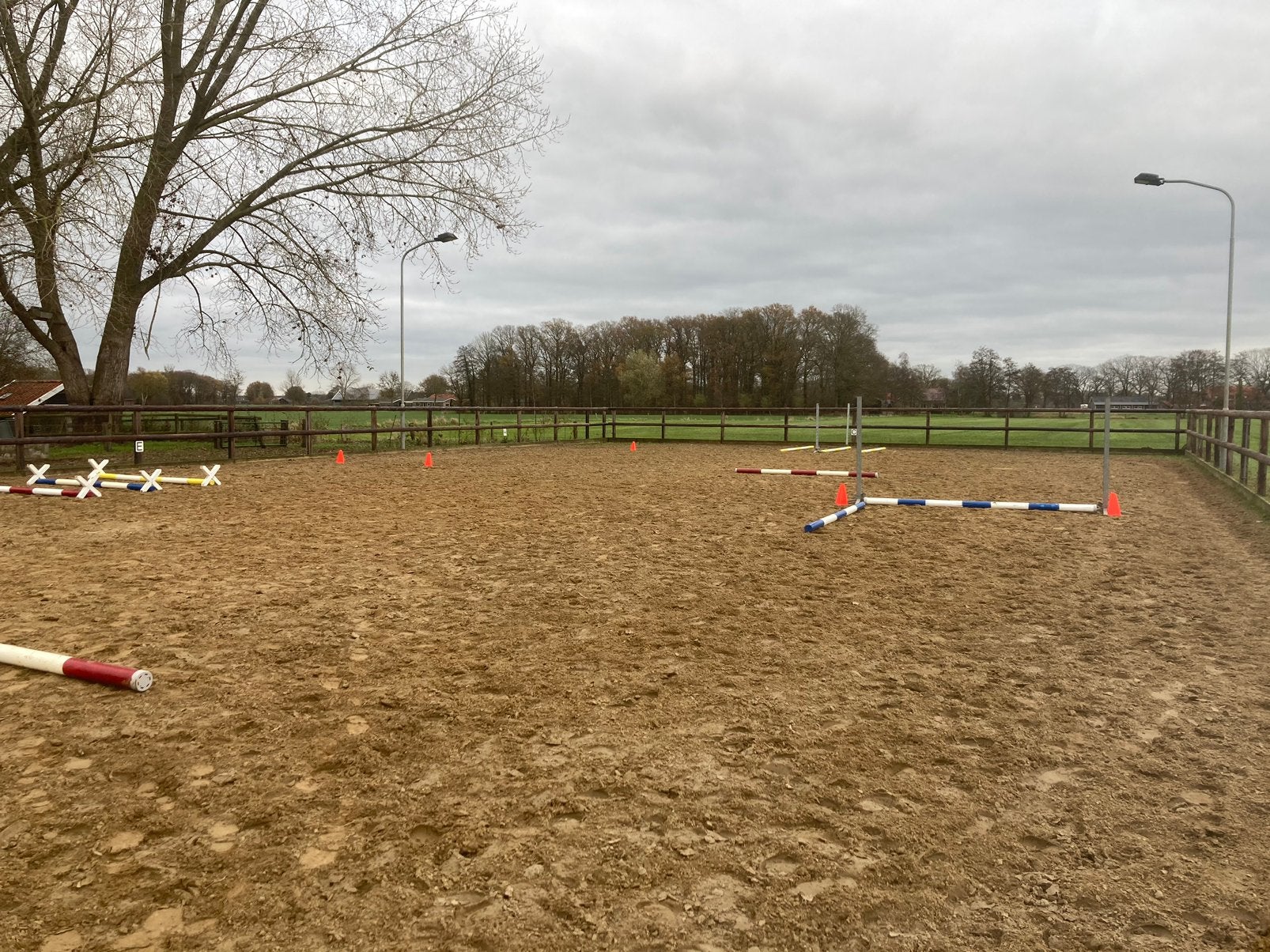 paddock plek met weidegang, rijbak ed aanwezig, Weidegang, 1 paard of pony