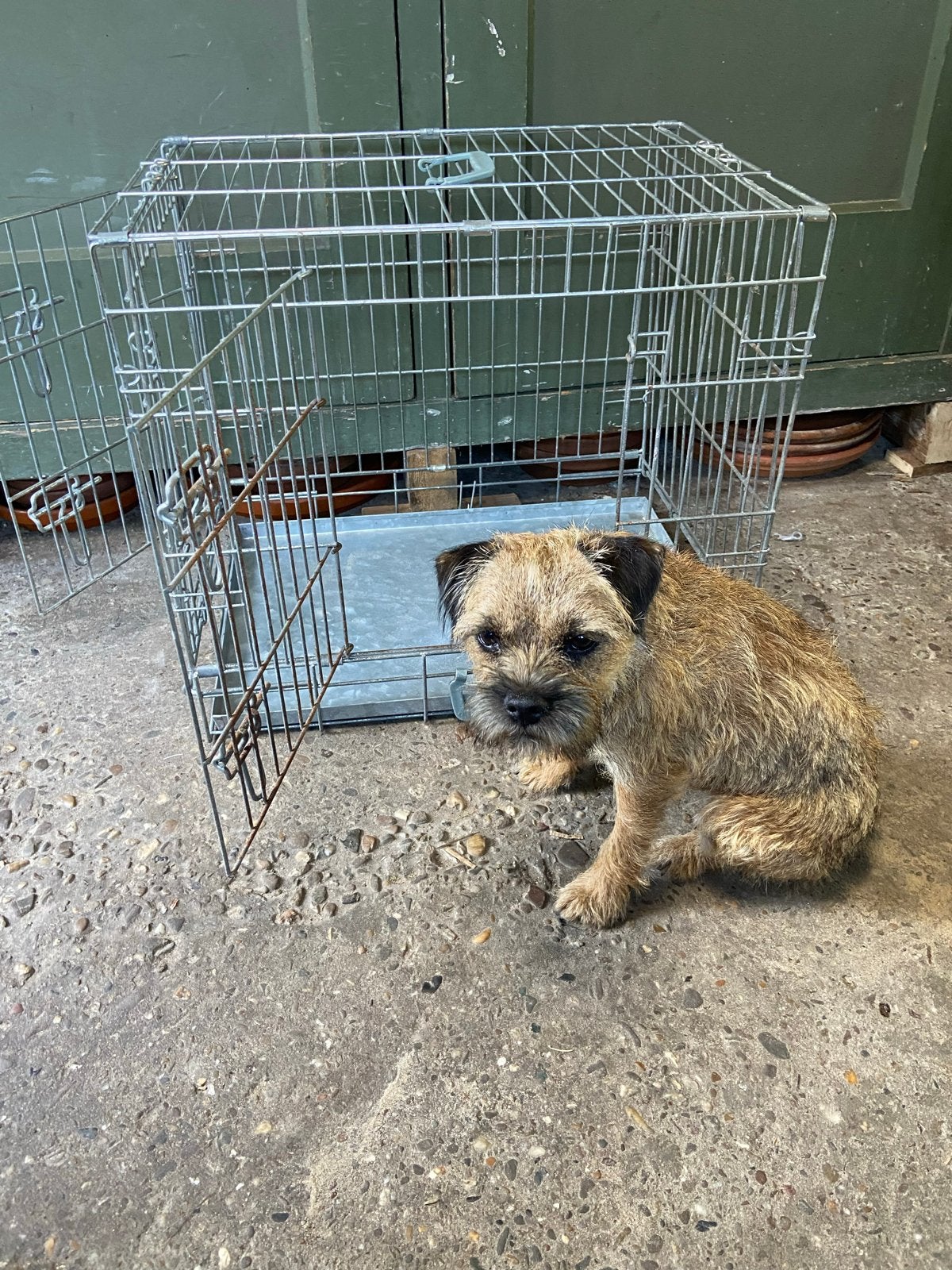 Hondenbench voor middel grote hond 52hx 60l x 42b, Ophalen, Gebruikt