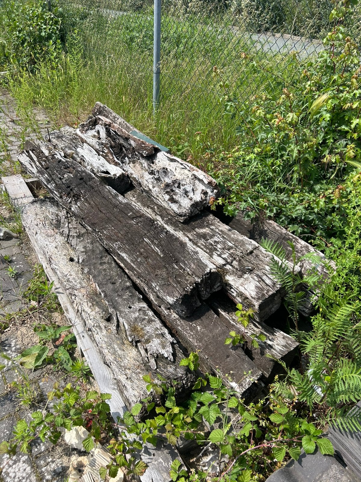 Bielzen gratis op te haalen net kunst, Ophalen of Verzenden, 50 mm of meer, Balk, Minder dan 200 cm