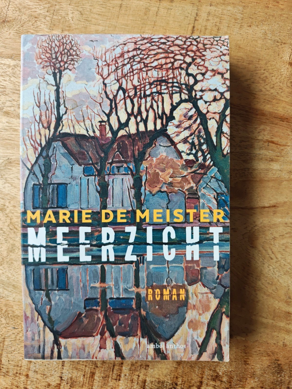 Meerzicht - Marie de Meester (Roman), Ophalen of Verzenden, Zo goed als nieuw, Marie de Meester, Nederland